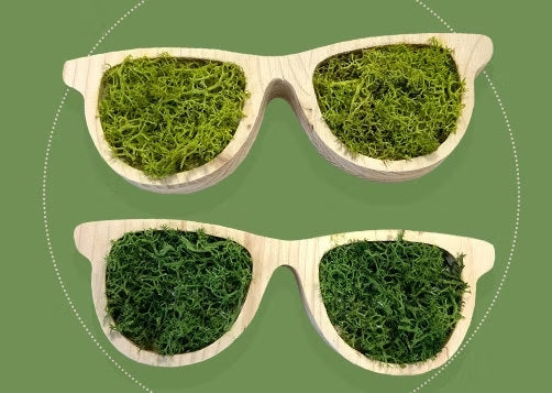 Des Lunettes en Bois : Une Approche Écologique pour un Style Durable