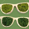 Lunettes en bois, Lunettes bois, Lunettes bois france, Lunettes en bois homme, Lunettes bois homme, Lunettes homme bois, Lunettes homme en bois, Lunettes en bois femme, Lunettes femme, Lunettes femme en bois,2
