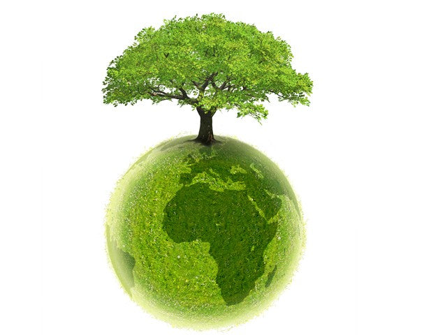 Lunettes en Bois Recyclé : Matière Naturelle au Service de la Durabilité